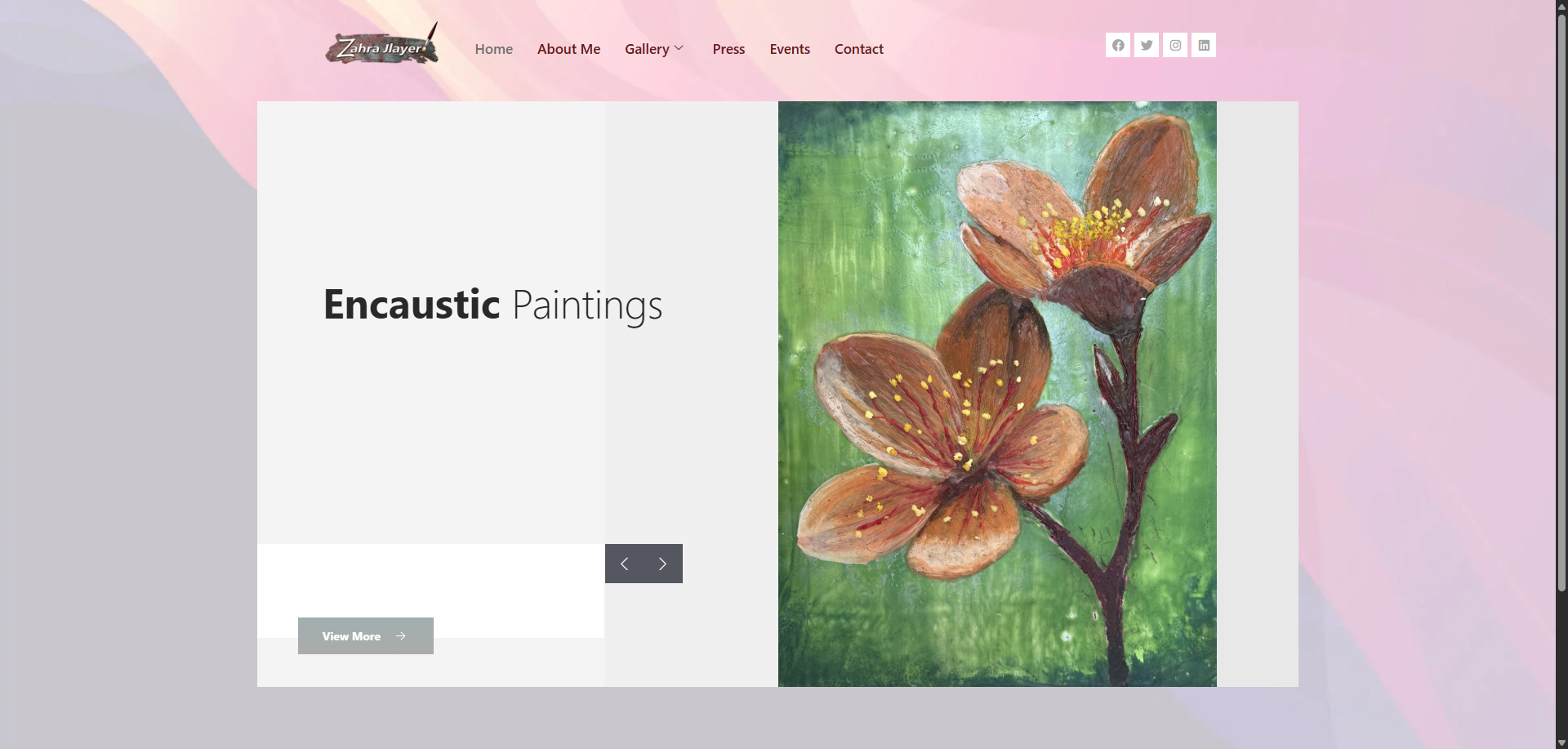 Zahra Jlayer website by Disame Graphics